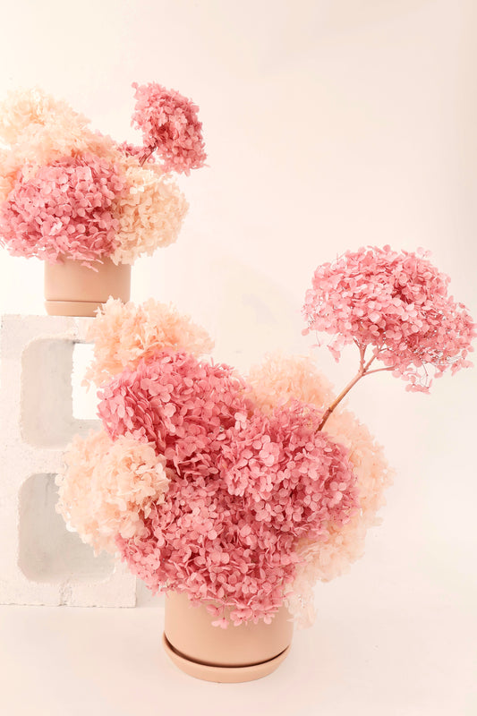 A en masse arrangement of preserved hydrangea in shades of pink. Designed in light pink ceramic planter.