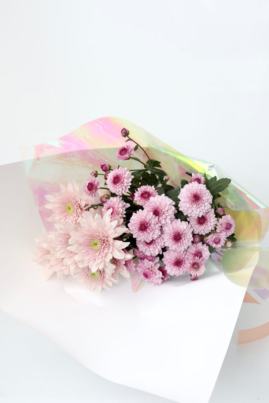 Daisy Chrysanthemums | En masse Fresh Cut Flowers