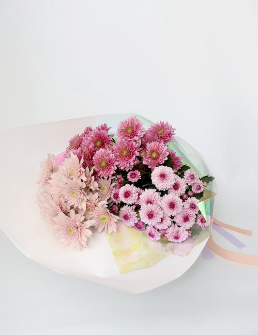 Daisy Chrysanthemums | En masse Fresh Cut Flowers