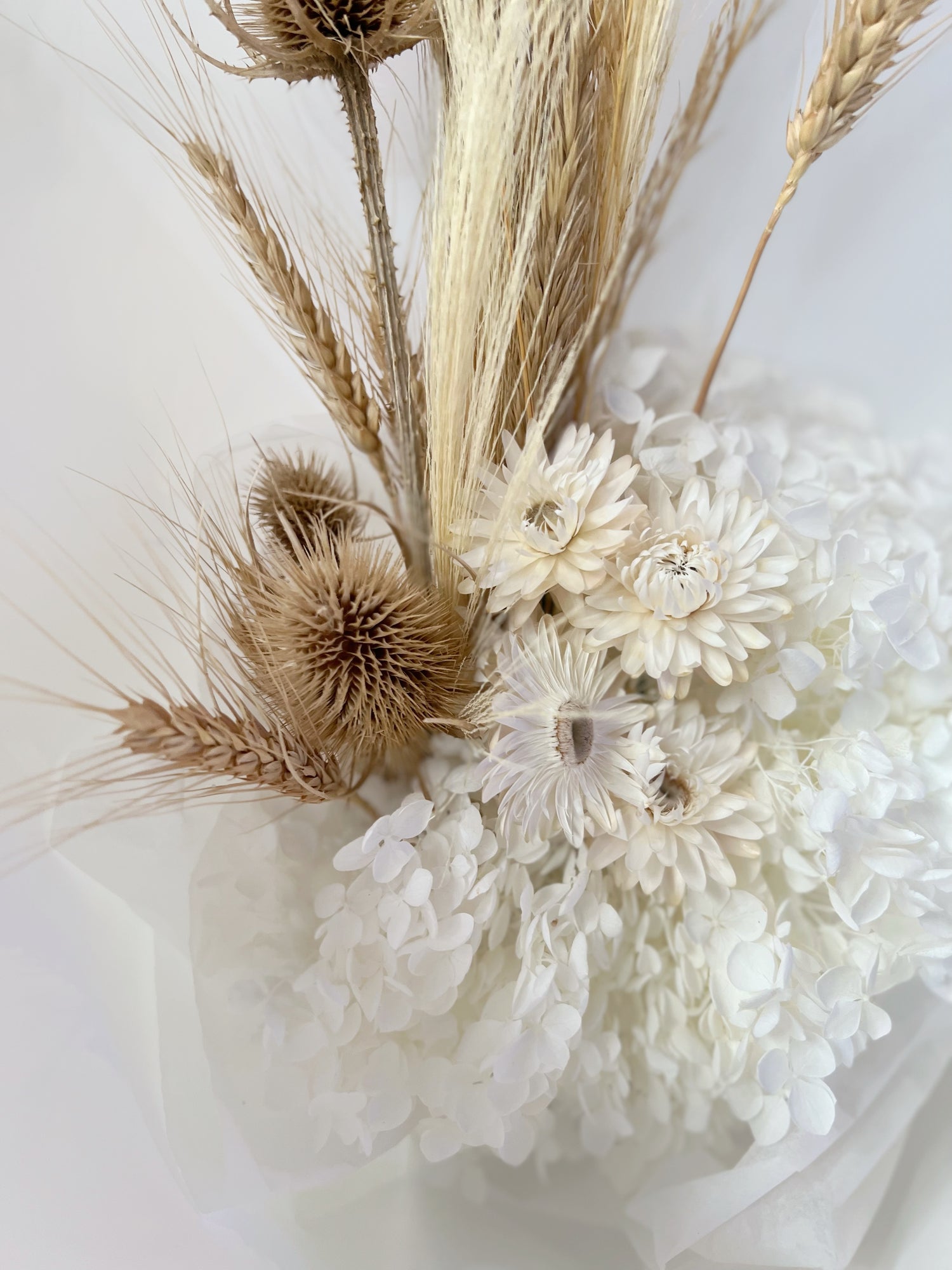 Everlasting florist bouquet featuring preserved and dried flowers in white, raw and nude colours. Same day delivery Hobart Tasmania