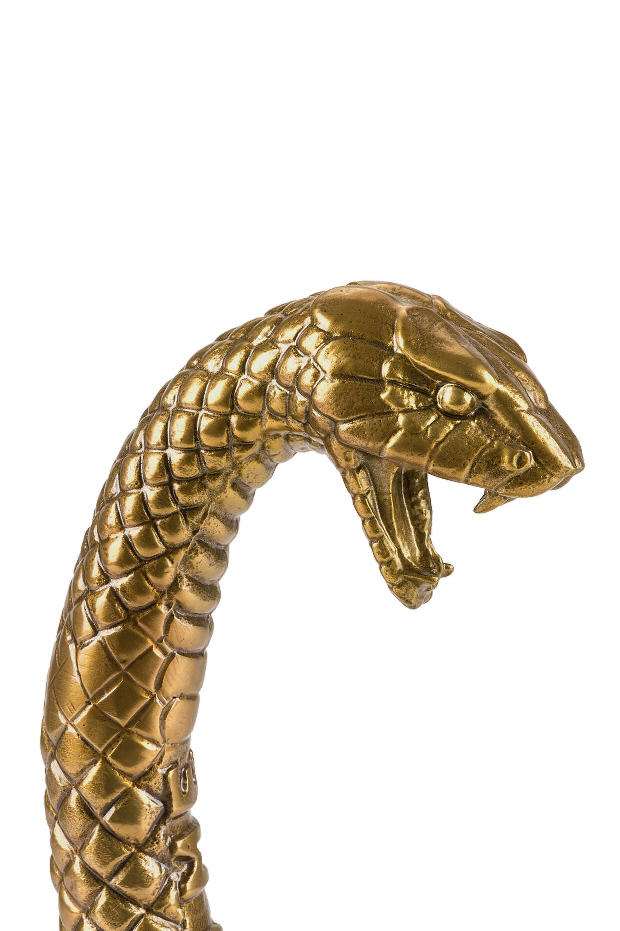 Gold snake ornament with the words "Don't Step On Me" engraved is from the Diesel Living - Wunderkammer collection by Seletti.  A decorative piece made from aluminium. 