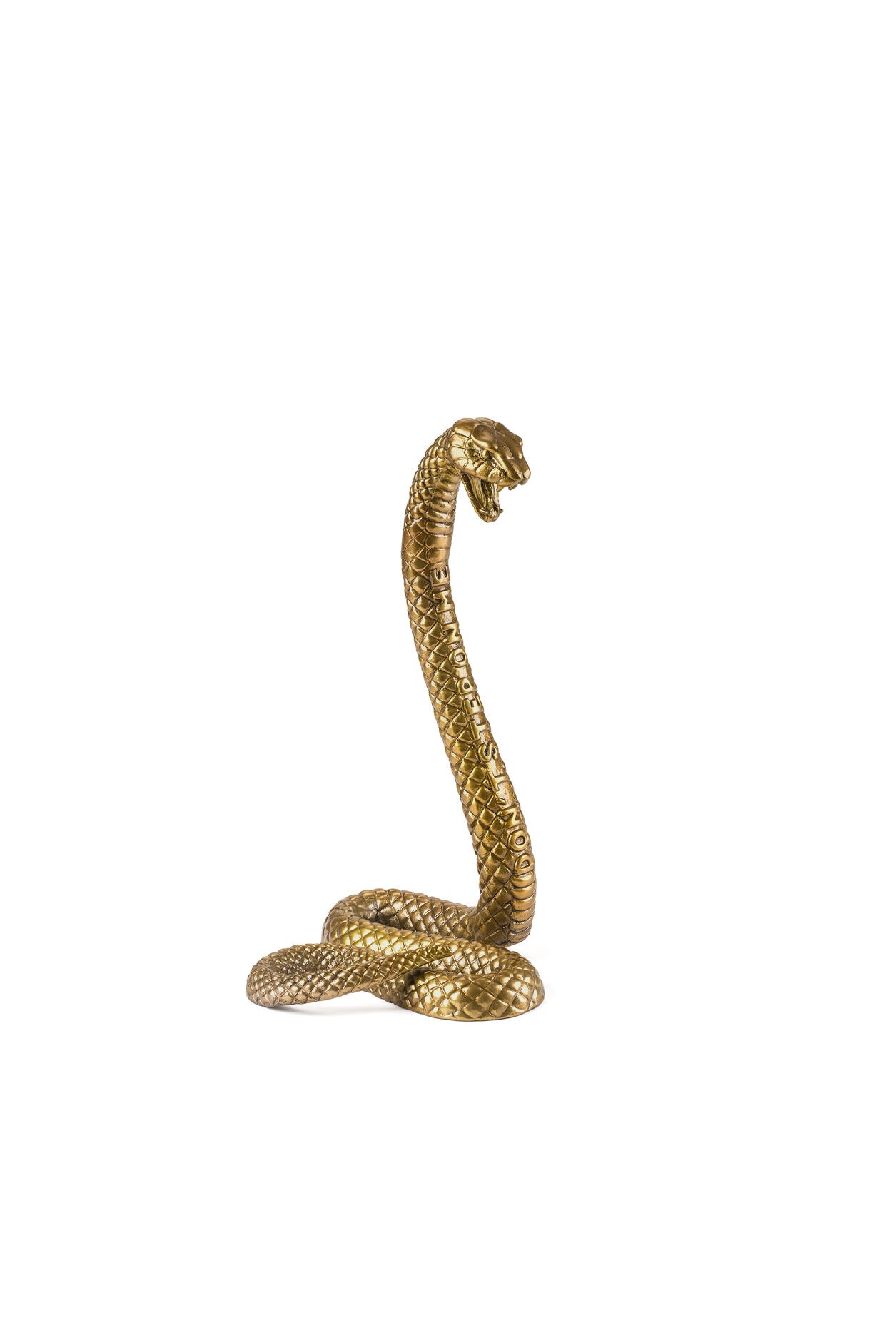 Gold snake ornament with the words "Don't Step On Me" engraved is from the Diesel Living - Wunderkammer collection by Seletti.  A decorative piece made from aluminium. 